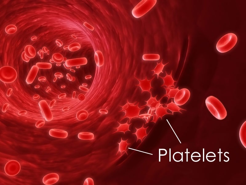 platelets-marathipizza01