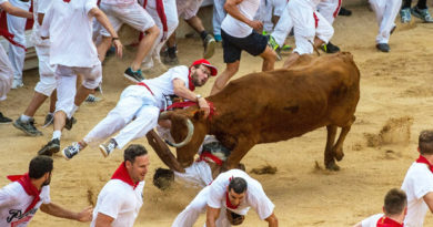 bull-running-festival-marathipizza01