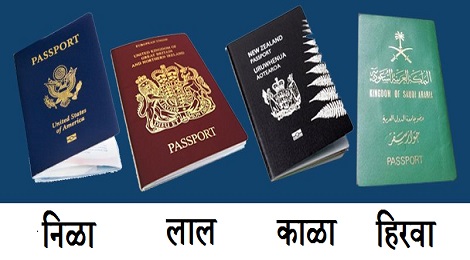 passport-4-colours-marathipizza00