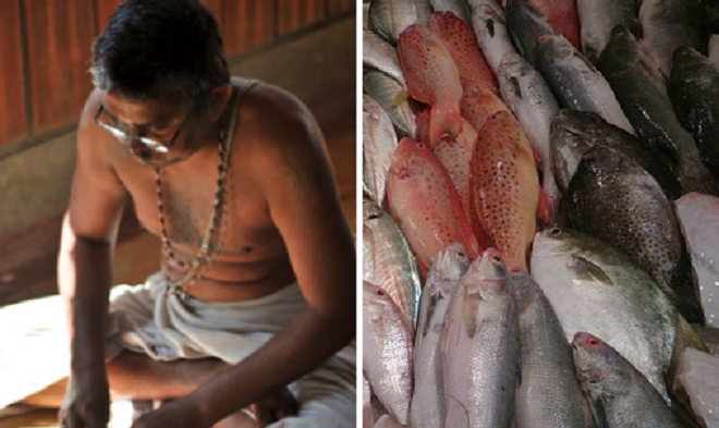 bramhin eat fish inmarathi