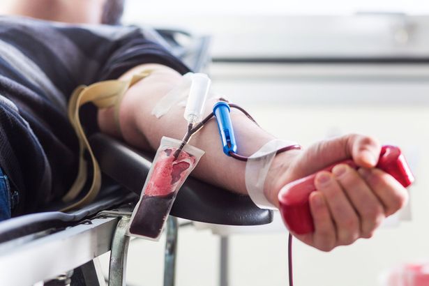 Blood-donation-marathipizza01