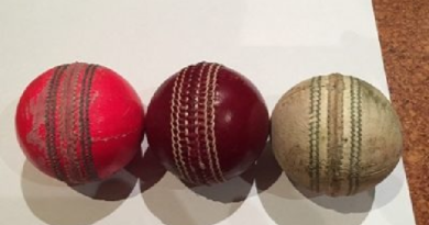 cricket balls inmarathi