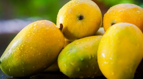 mango-inmarathi