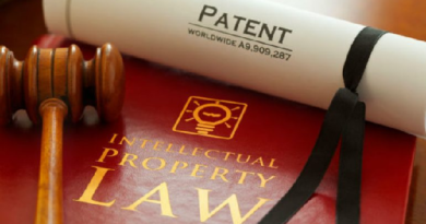 patent feature inmarathi'