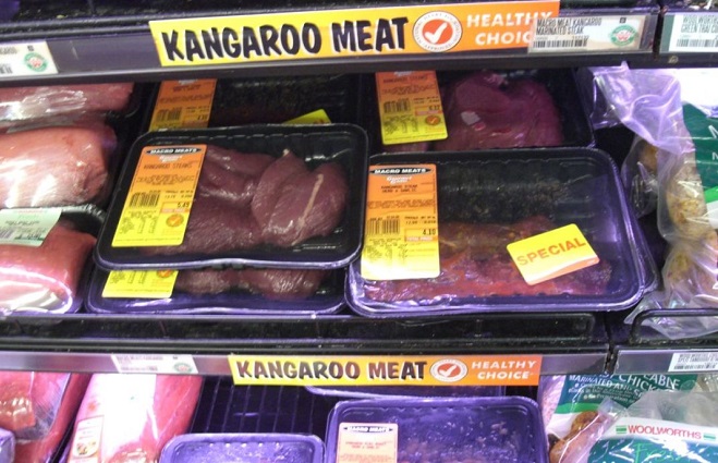 Kangaroo_meat_InMarathi