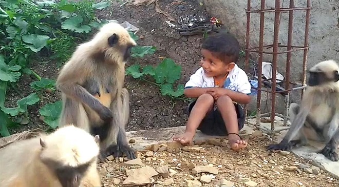 Indian boy and Monkey InMarathi