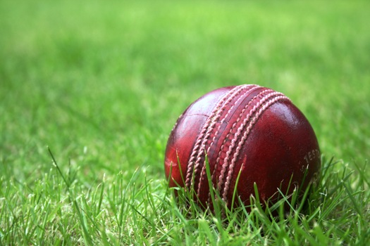cricket-ball-inmarathi03