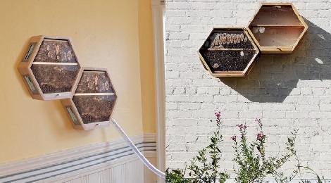 indoors-outdoors-bee-hives-inmarathi04