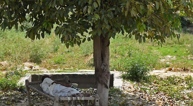 man sleeps under tree inmarathi