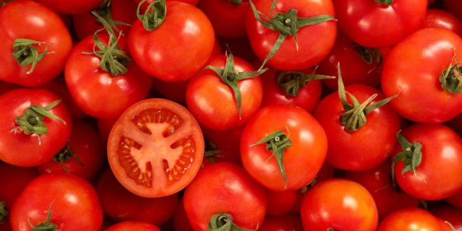 cancer-tomatoes-inmarathi