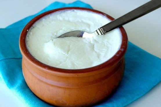 difference between yoghurt and curd-inmarathi