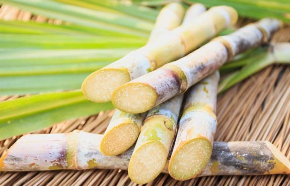 Sugarcane-A-Brief-inmarathi