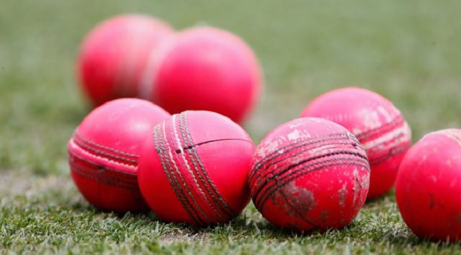 cricket ball inmarathi