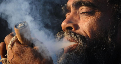 smoking ganja inmarathi