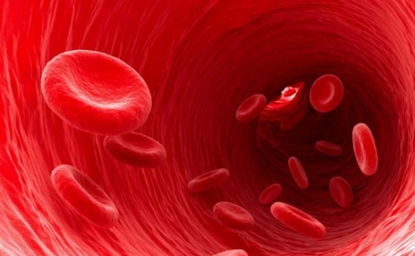 blood-cells-inmarathi