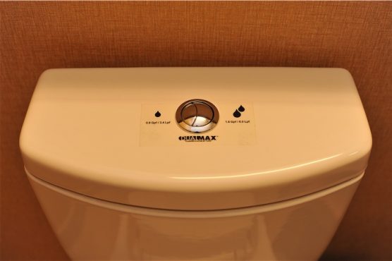 dual-flush-toilet-inmarathi