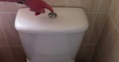 dual-flush-toilet-inmarathi04