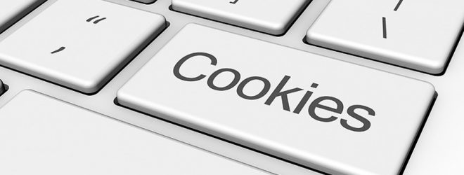 internet cookies-inmarathi03