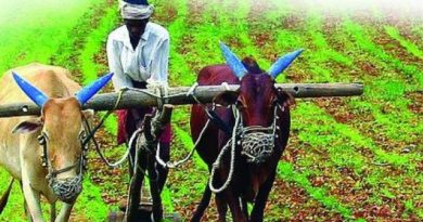 agriculture-inmarathi