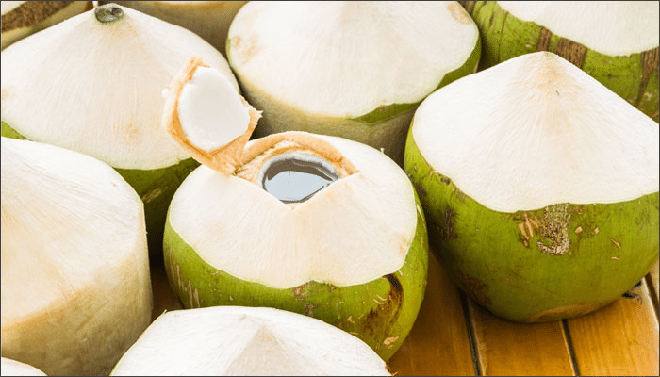 coconut1-inmarathi
