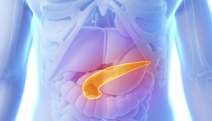 pancrea-inmarathi