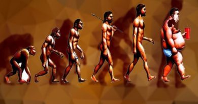 evolution inmarathi