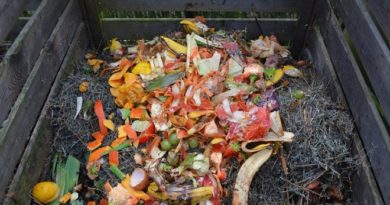 food-waste InMarathi