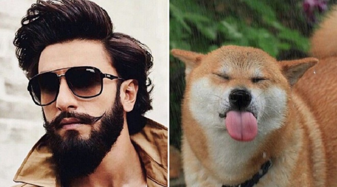 Beard Indian Vs Dog Fur Feature InMarathi