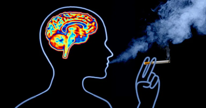 smoking brain inmarathi