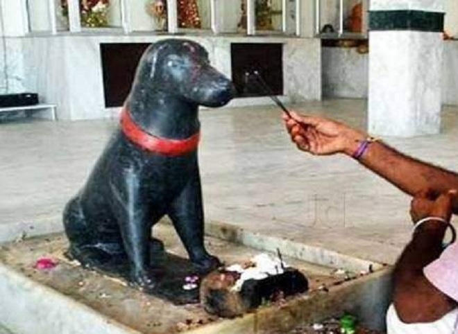 dog worship inmarathi