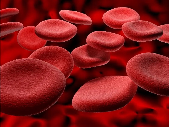 hemoglobin inmarathi