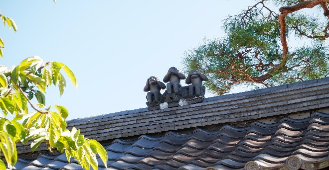 monkeys japan koshin inmarathi 2