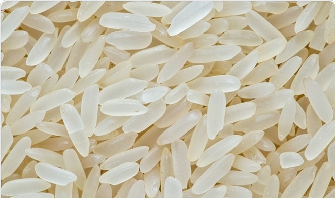 polished grain inmarathi