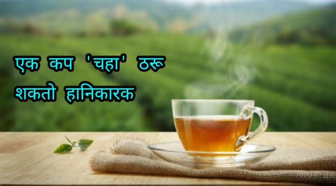 tea featured inmarathi