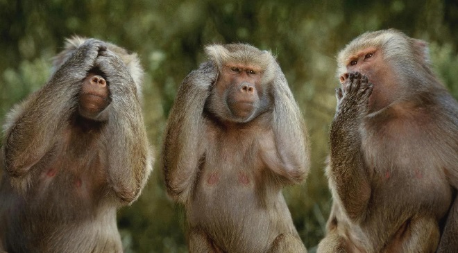 three monkeys inmarathi