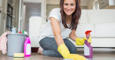 home cleaning inmarathi