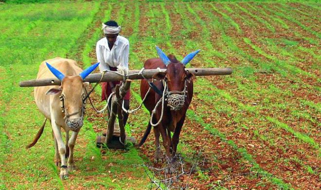 farmers inmarathi