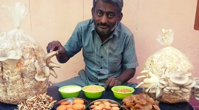 mushroom farmer inmarathi