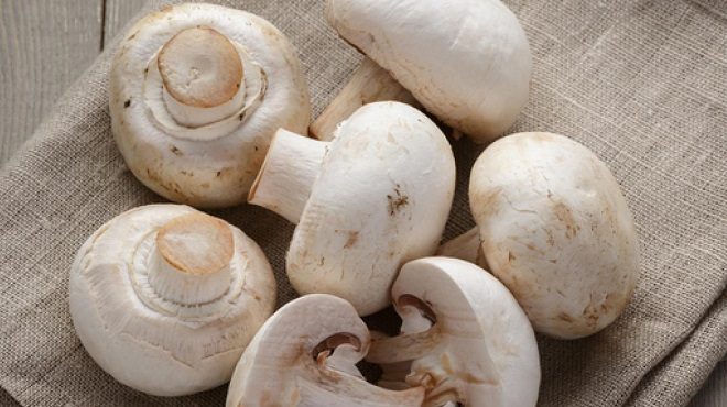 mushroom inmarathi
