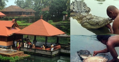 vegterian crocodile featured inmarathi