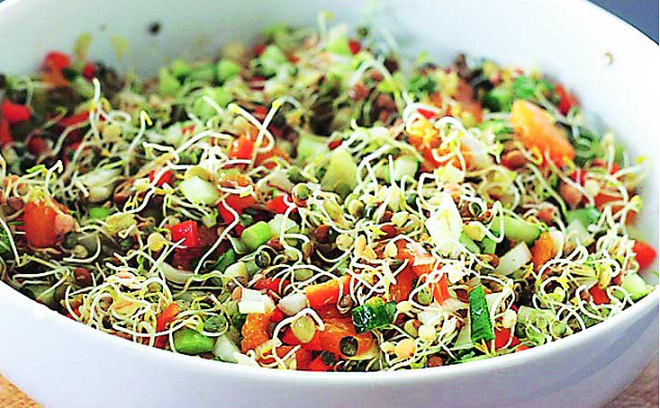 sprouts inmarathi