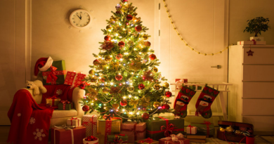 christmas tree inmarathi