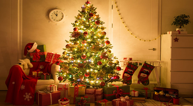 christmas tree inmarathi
