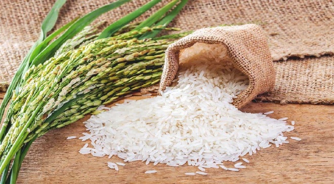 rice inmarathi
