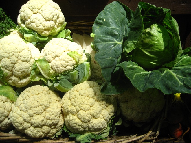 cauliflower-inmarathi