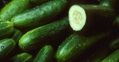 cucumber-inmarathi