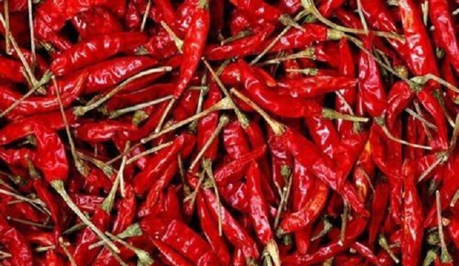 red chilli inmarathi