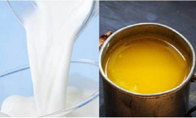 milk ghee in marathi