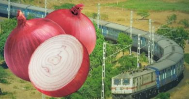 onion indian railways inmarathi
