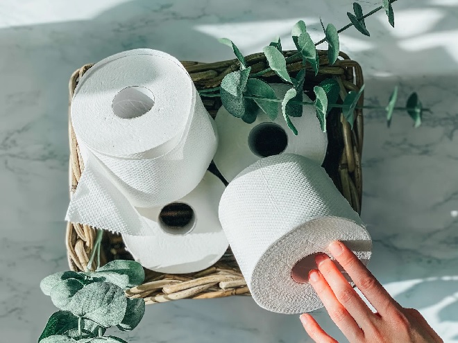 toilet paper exo friendly inmarathi
